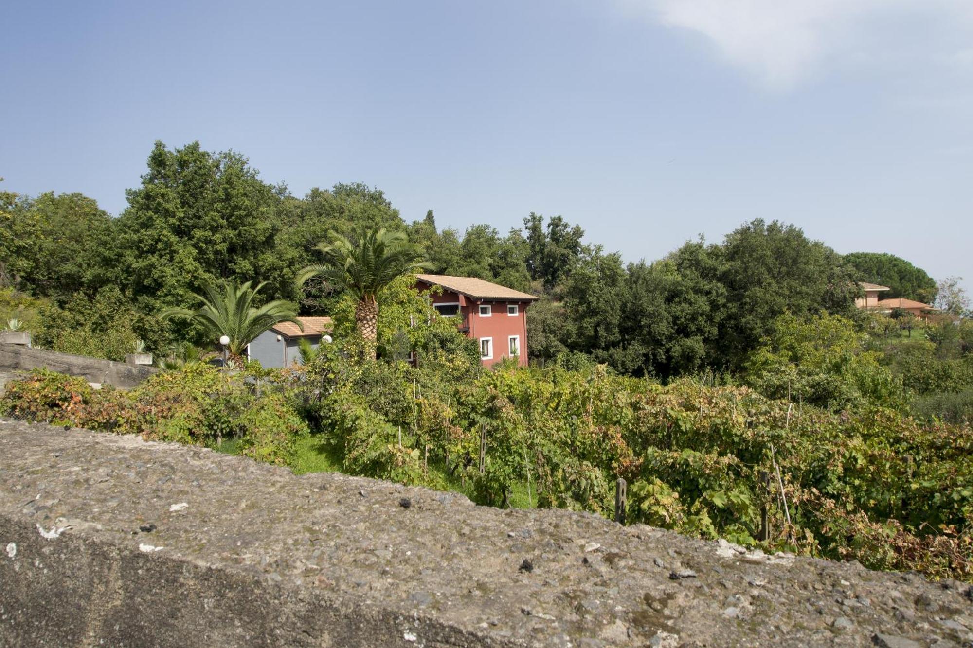 Il Nido Delle Aquile Dell'Etna Milo Exterior foto
